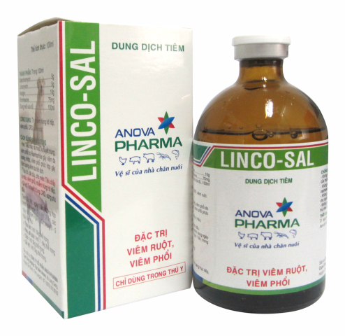 LINCO-SAL