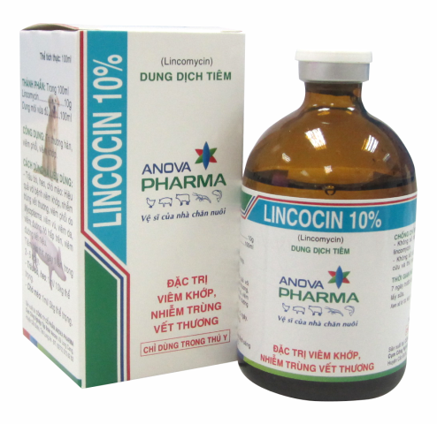 LINCOCIN 10%